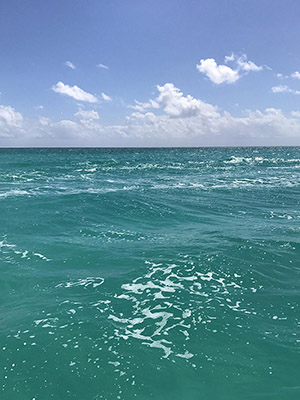 Ocean View