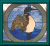 loon