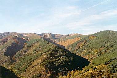 Trigazas