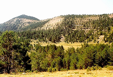 Hoyos de Iregua
