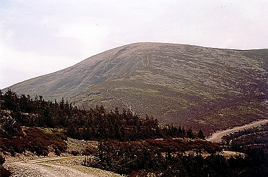 Campos Blancos