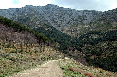 Ruta Heidi