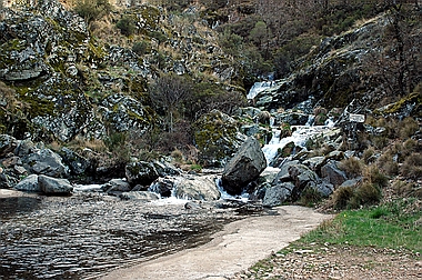 Pista Heidi