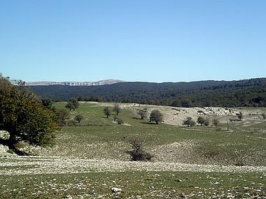 Raso de Bardoitza