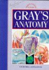 Gray's Anatomy Updated