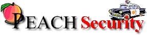 Peach Security banner
