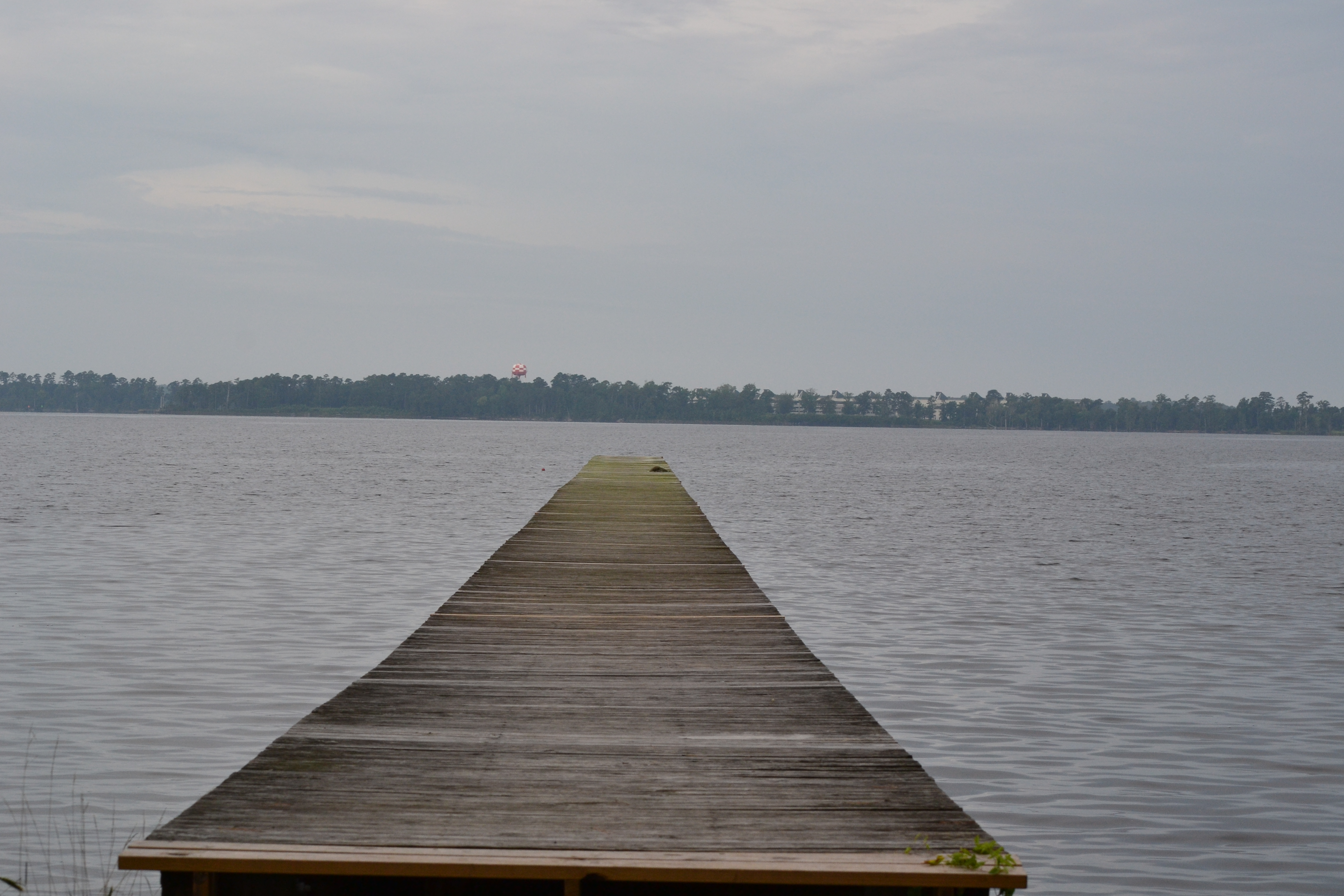 wooden dock