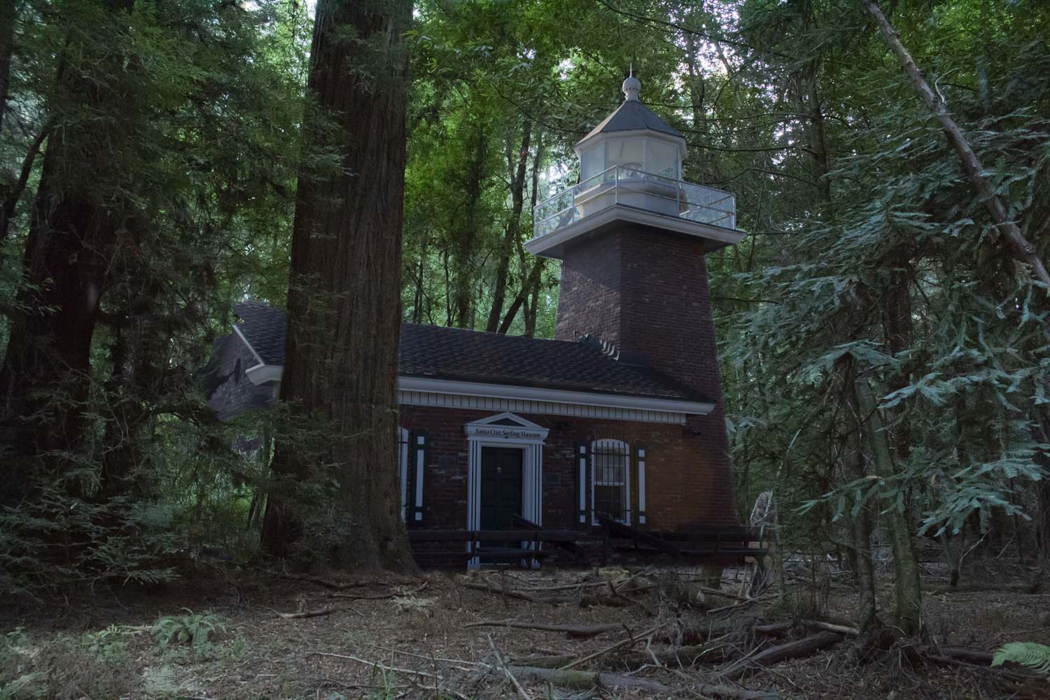 forest lighthouse