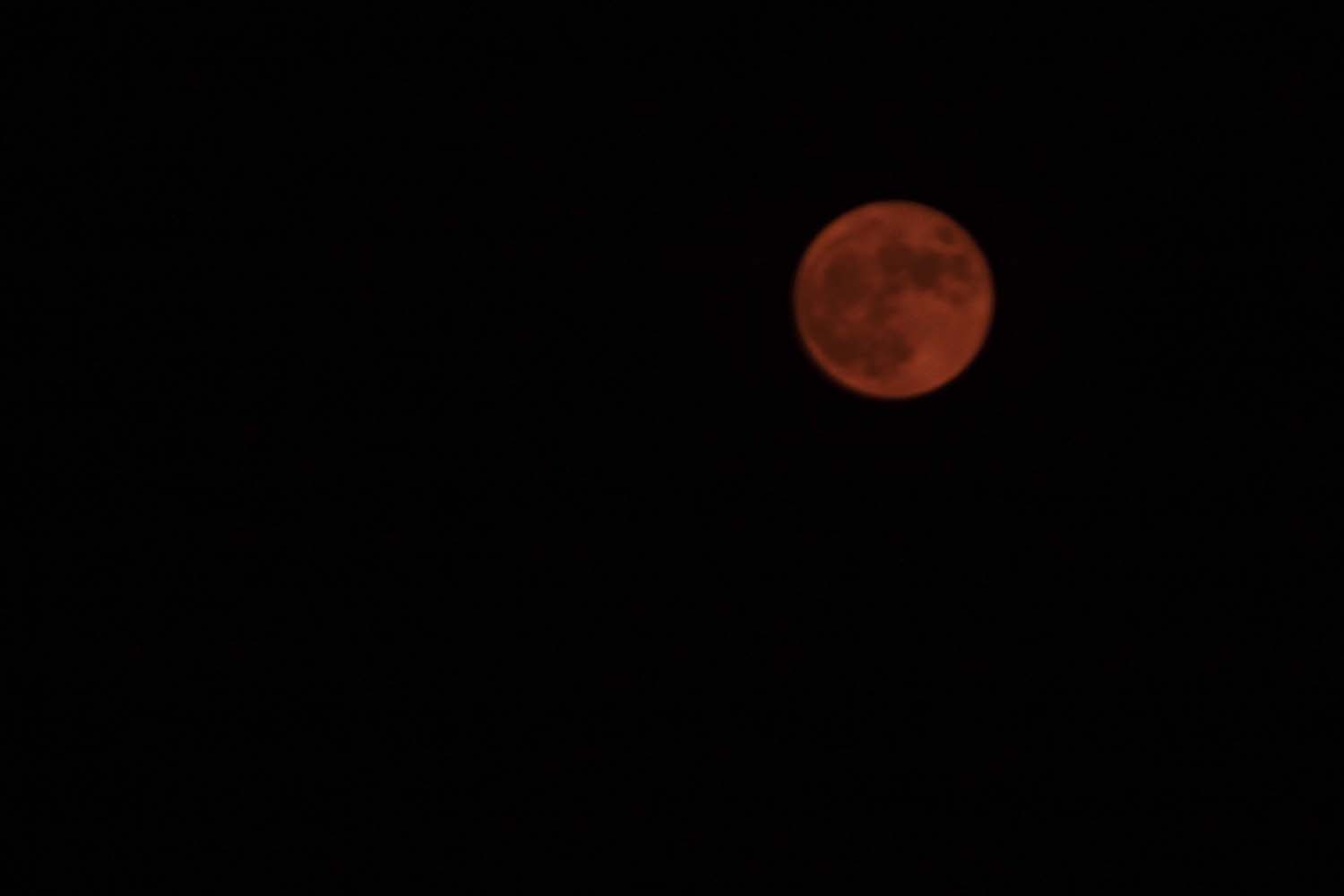 harvest moon