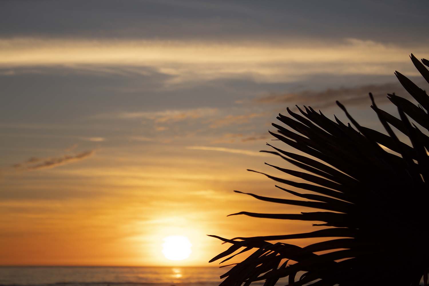 Sunset Gallery