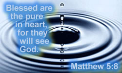 Purity