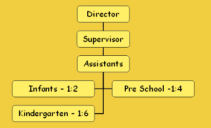 Organization Structure