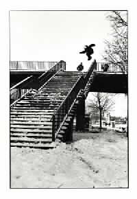 North Shore Snowboard Company