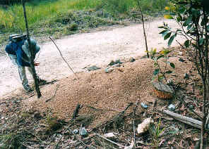 wpe6.jpg (68411 bytes)