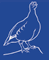 British Birds Rarities Committee