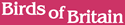 Birds of Britain - Webzine