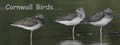 Cornwall Bird Watching & Preservation Society