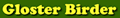 Mike King - The Gloster Birder