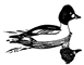 Somerset Ornithological Society