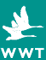 Slimbridge - Wildfowl and Wetlands Trust