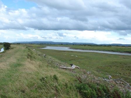 River Yeo