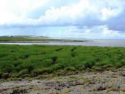 Yeo Estuary