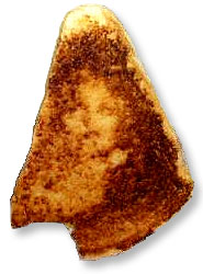 Virgin Mary Grilled Cheese Sandwich