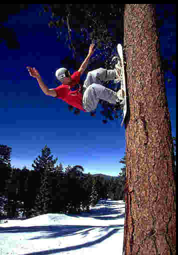 Snowboard