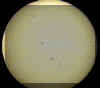 Sunspots 18 July 2001