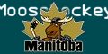 Manitoba Moose