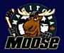 Manitoba Moose