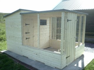 Dog Kennel Shed