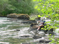 sm-elwha1.jpg (23762 bytes)
