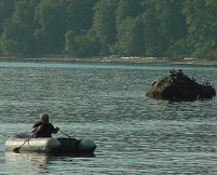 sm-freshwaterbay1.jpg (16596 bytes)