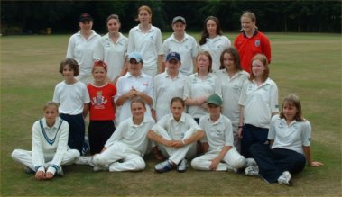 The single wicket competitors