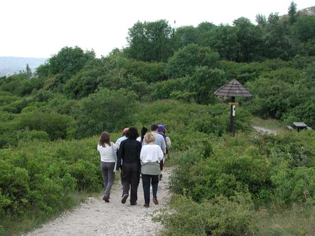 2001-06-03_03.jpg