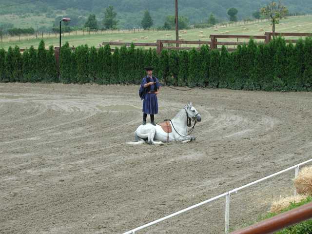 2001-06-17_25.jpg