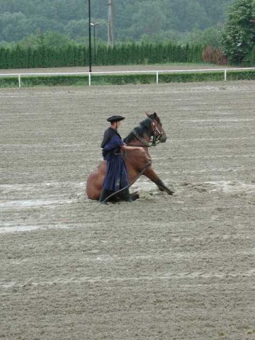 2001-06-17_27.jpg