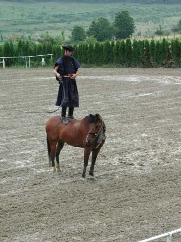 2001-06-17_29.jpg