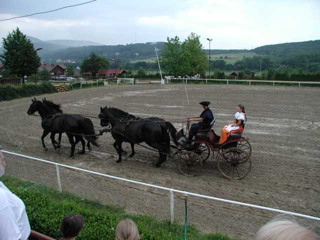 2001-06-17_30.jpg