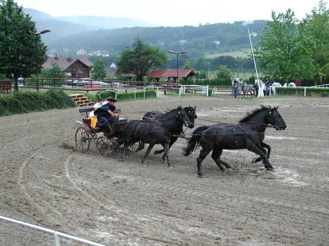 2001-06-17_32.jpg