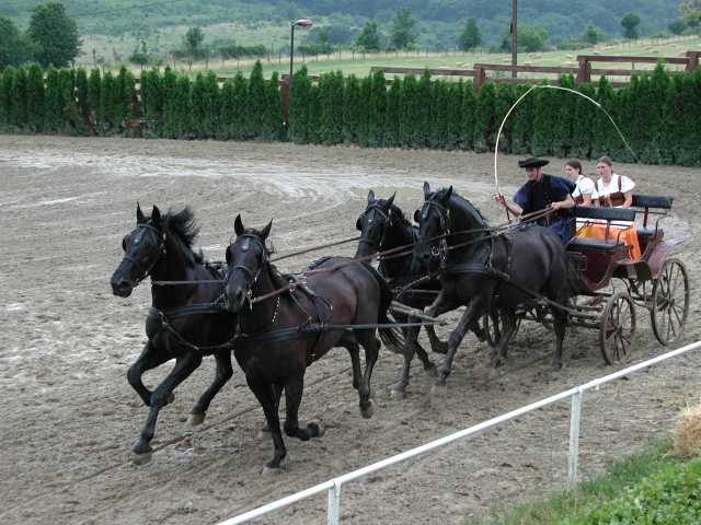 2001-06-17_33.jpg