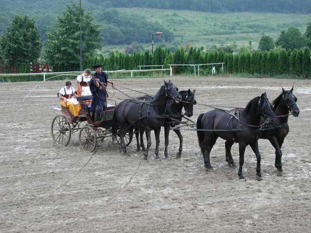 2001-06-17_34.jpg