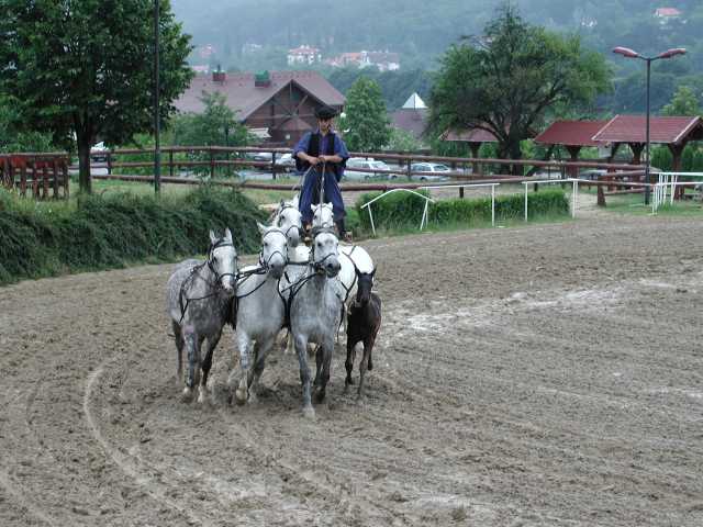 2001-06-17_35.jpg