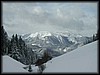 Click on the picture to enlarge!