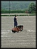 Click on the picture to enlarge!