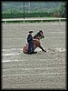 Click on the picture to enlarge!