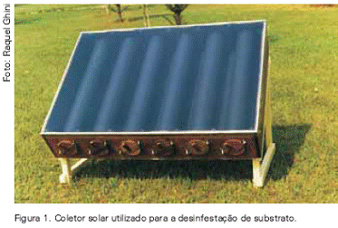 coletor solar