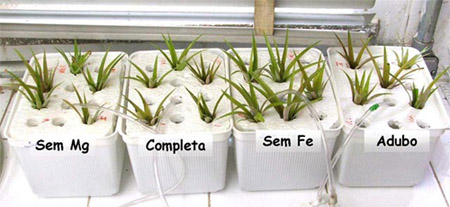tratamentos