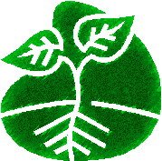 planta